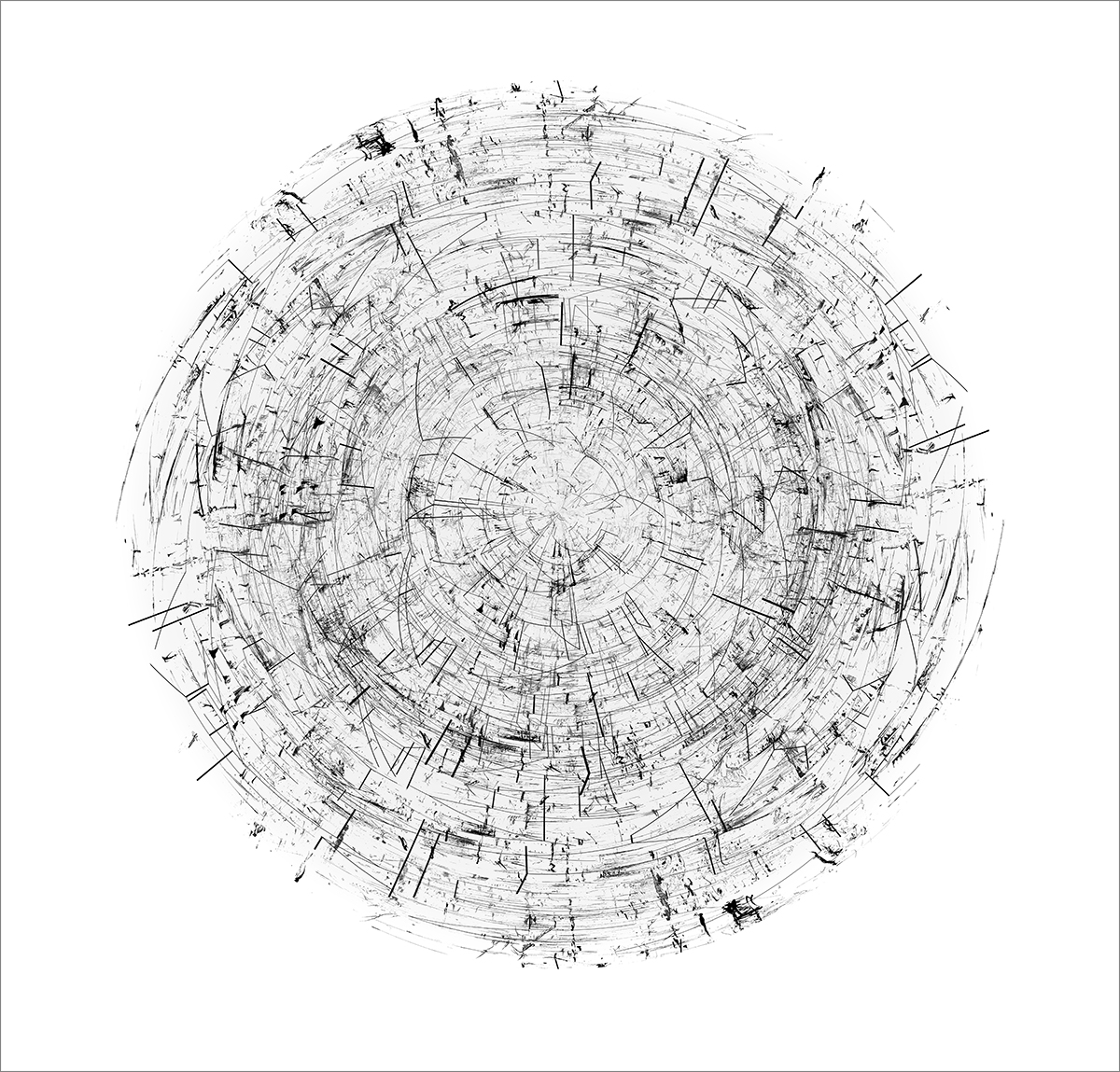Cutaway, 2021, archival digital print
